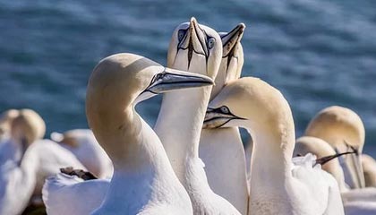 九游体育-九游体育网页版:以极致体验点亮你的体育娱乐新篇章