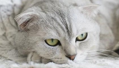 九游体育-九游体育网页版：以极致体验点亮你的体育娱乐新篇章