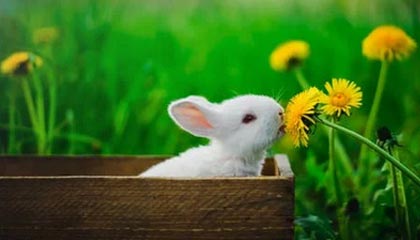 jiuyou-全国游泳锦标赛:汪顺和潘展乐练副项,余依婷200混夺冠